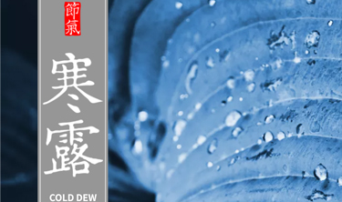 KU酷游官网-不凡成就非凡,相信品牌力量